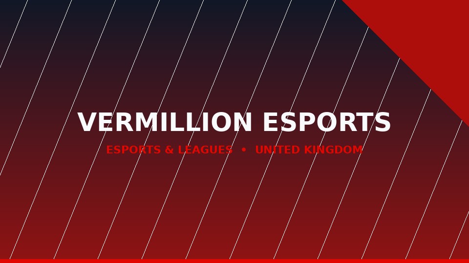 Vermillion Esports cover banner