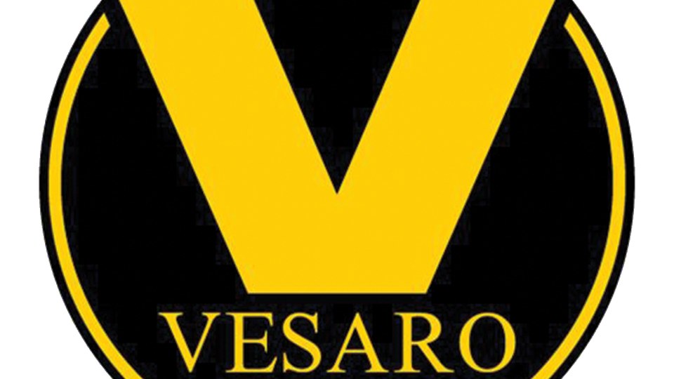 Vesaro cover banner