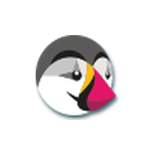 BJ Sim Racing logo