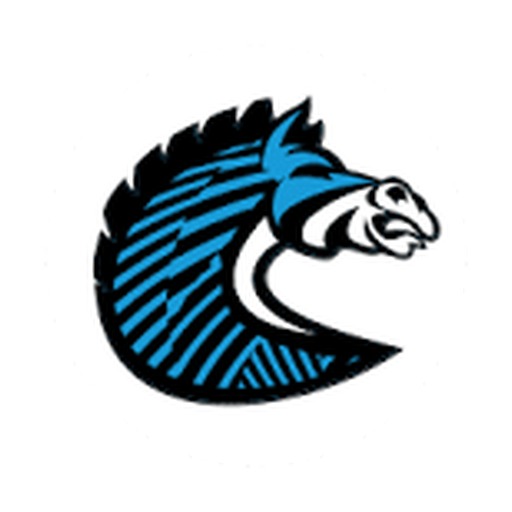 BS+COMPETITION logo