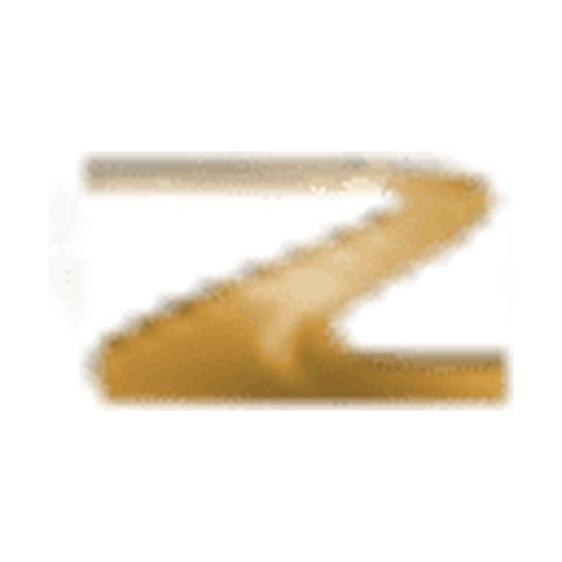 iZone Driver Performance logo